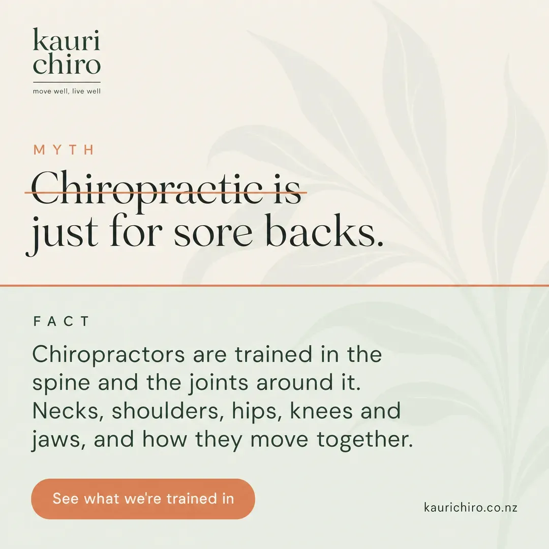 Withdrawn concept advertisement for Kauri Chiropractic, an invented clinic. Held back for: unsourced claim, outside scope.